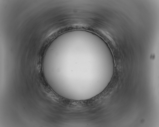 X0000097661015200803142127