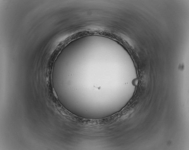 X0000097661016200803142127