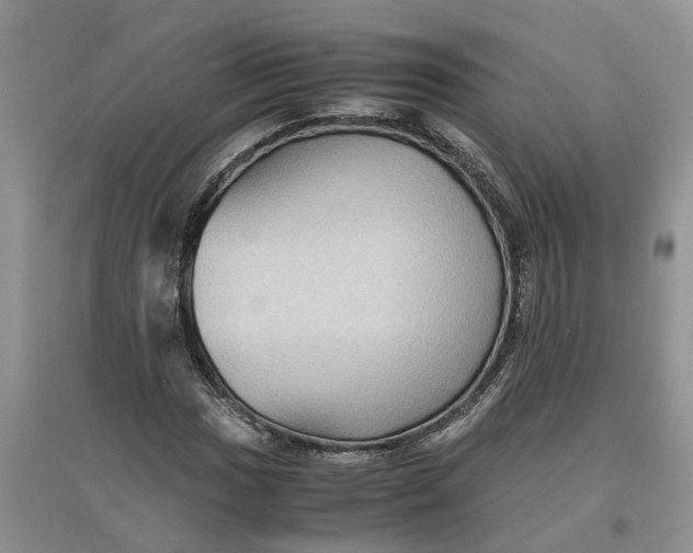 X0000097661017200803142127