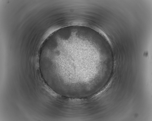X0000097661019200803142127
