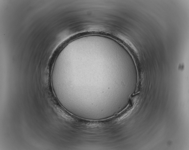 X0000097661021200803142127