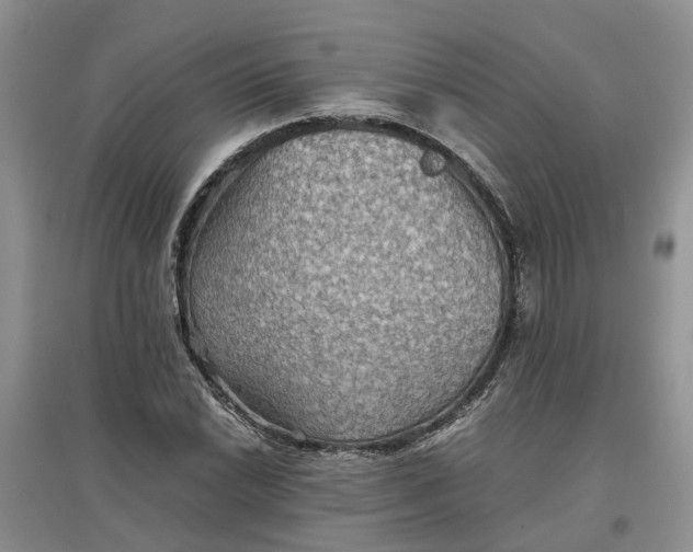 X0000097661022200803142127