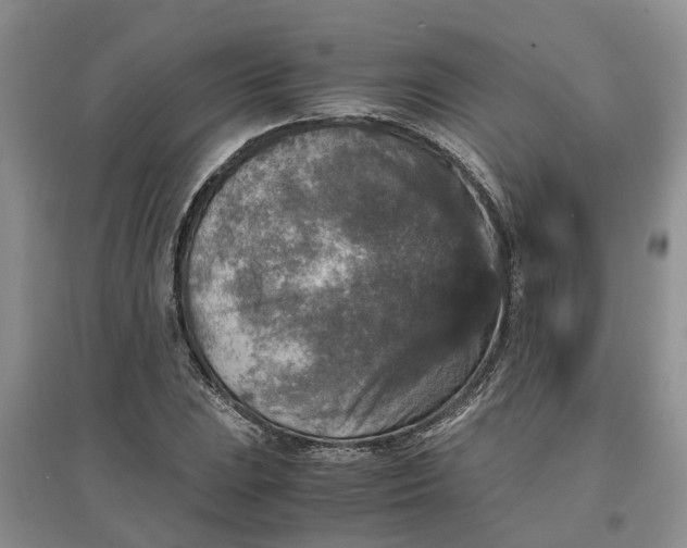 X0000097661023200803142127