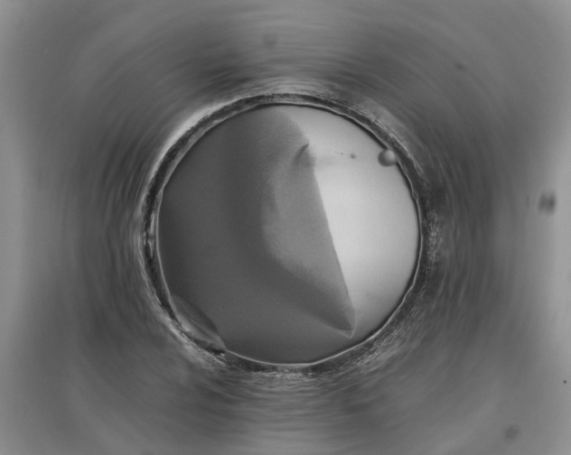X0000097661024200803142127