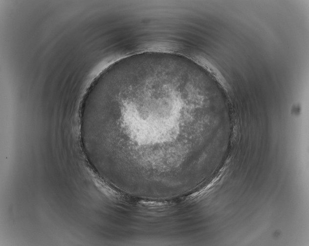 X0000097661027200803142127