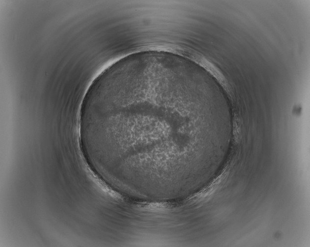 X0000097661028200803142127