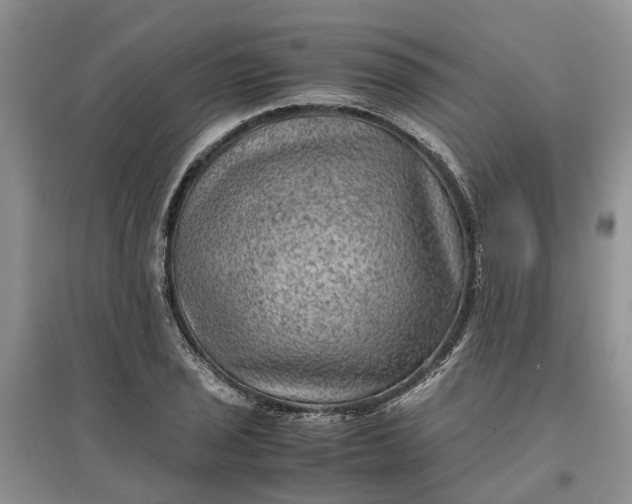 X0000097661029200803142127
