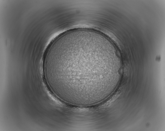 X0000097661030200803142127
