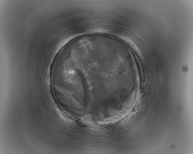 X0000097661031200803142127