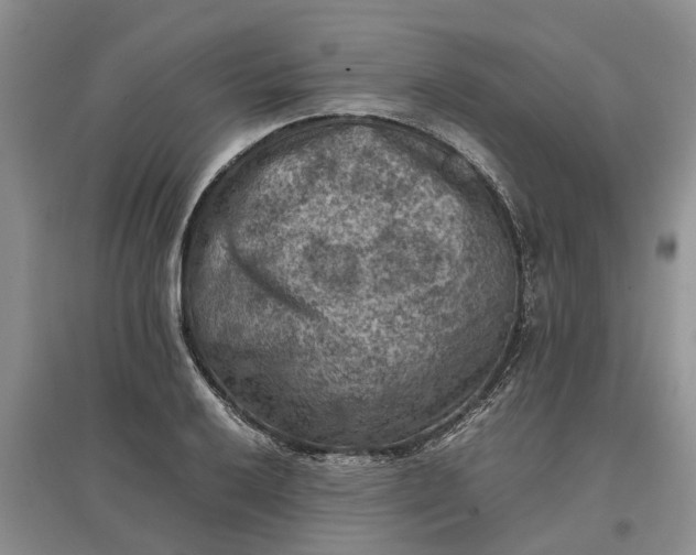 X0000097661032200803142127