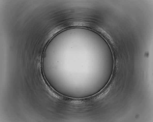 X0000097661033200803142127