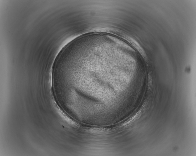 X0000097661036200803142128