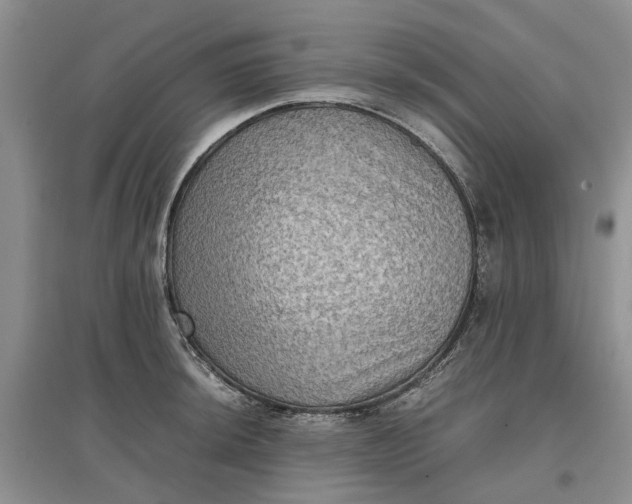 X0000097661044200803142128