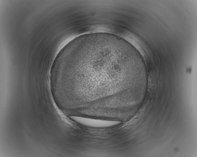 X0000097661047200803142128