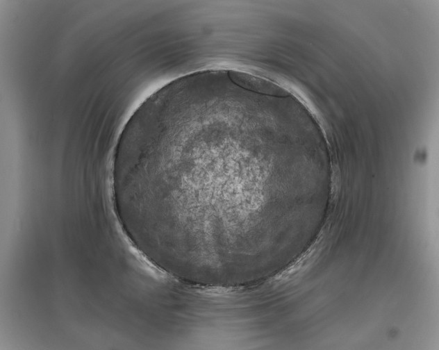 X0000097661048200803142128