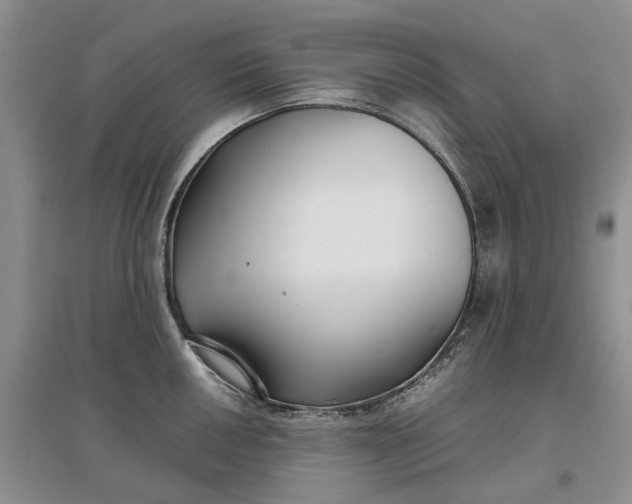 X0000097661050200803142128