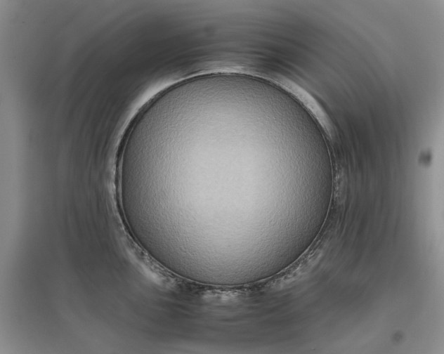 X0000097661051200803142128