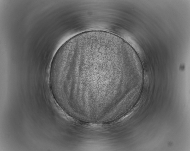 X0000097661052200803142128