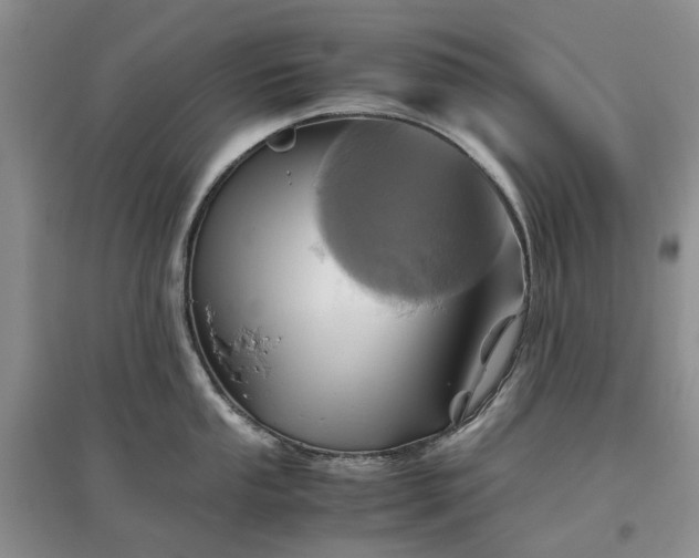 X0000097661053200803142128