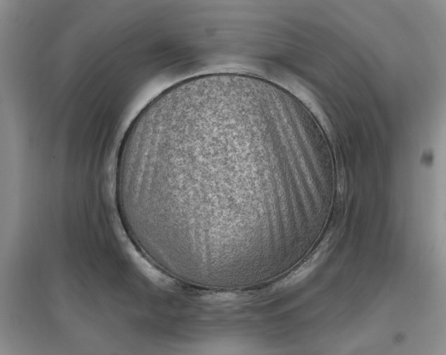 X0000097661054200803142128