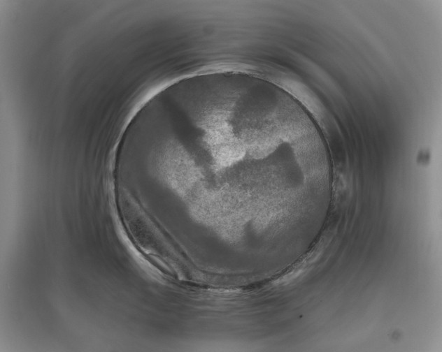 X0000097661055200803142128