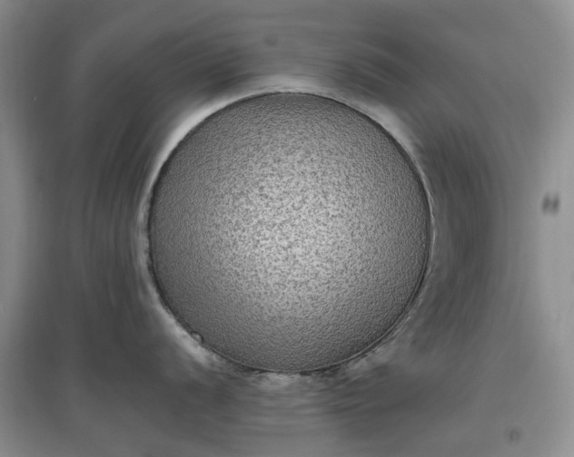 X0000097661056200803142128