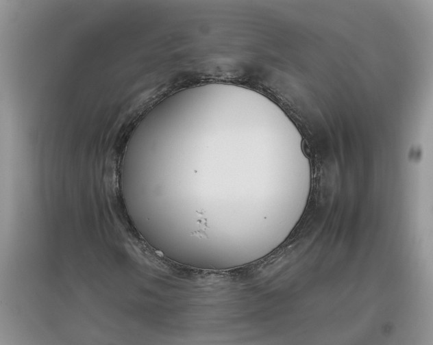 X0000097661058200803142127