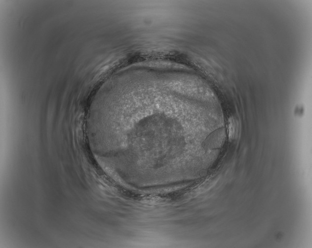 X0000097661059200803142127