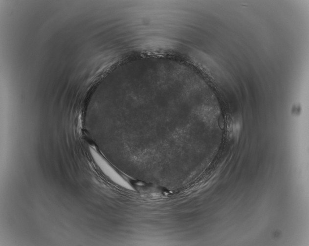 X0000097661060200803142127