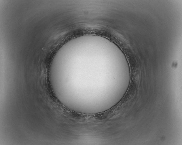 X0000097661061200803142127