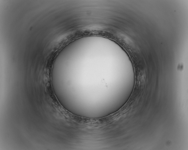 X0000097661062200803142127