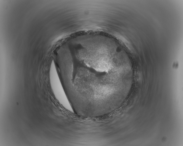 X0000097661063200803142127