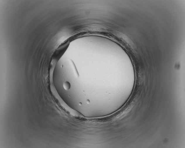 X0000097661065200803142127