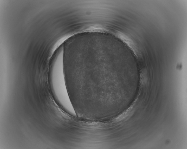 X0000097661066200803142127