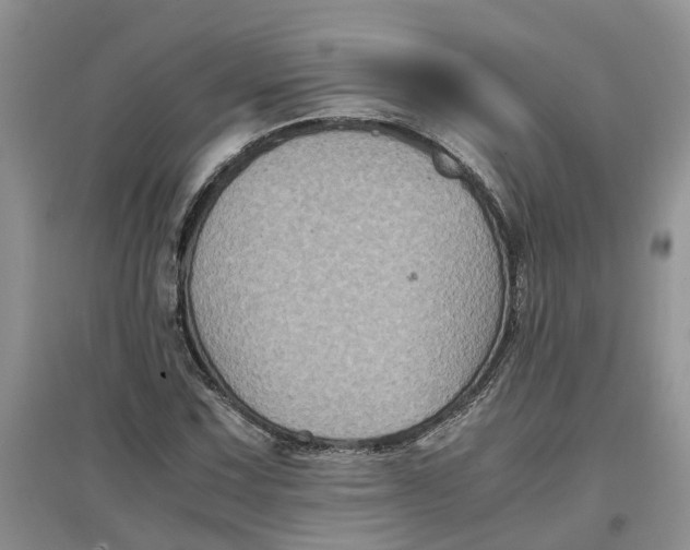 X0000097661067200803142127