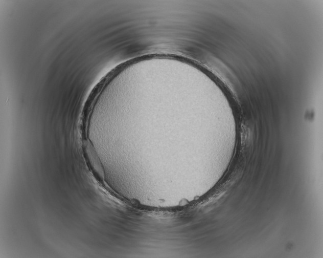 X0000097661068200803142127