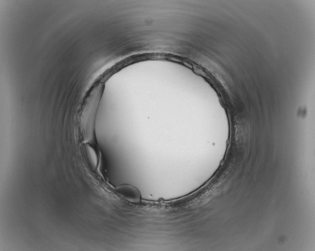 X0000097661069200803142127