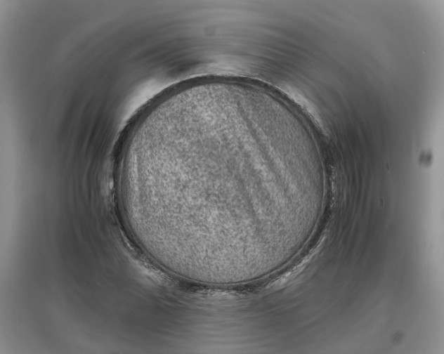 X0000097661070200803142127
