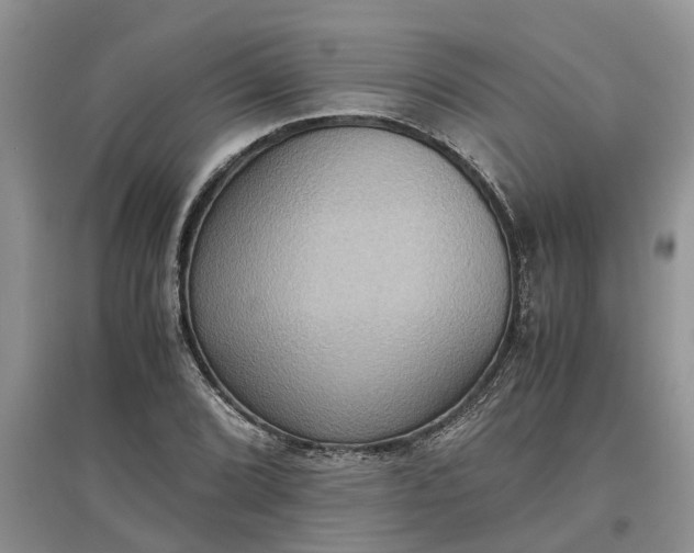 X0000097661072200803142127
