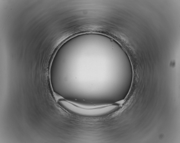 X0000097661073200803142127