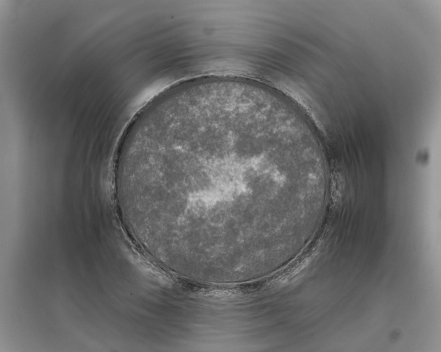 X0000097661074200803142127