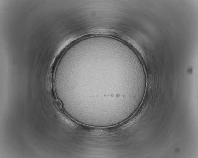 X0000097661075200803142127