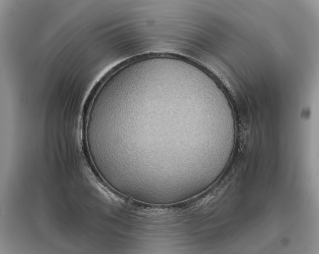 X0000097661076200803142127