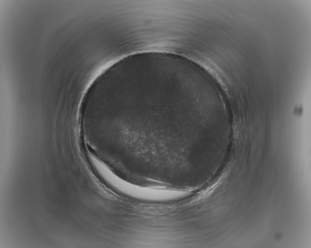 X0000097661077200803142127