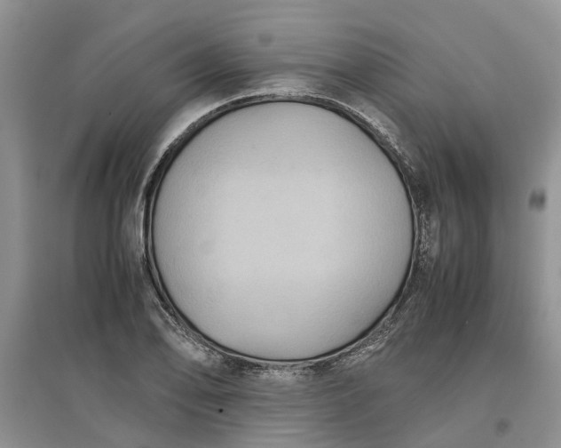 X0000097661078200803142127