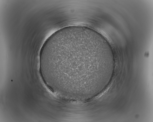 X0000097661079200803142127