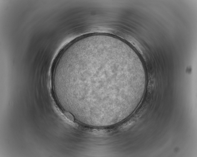 X0000097661080200803142127