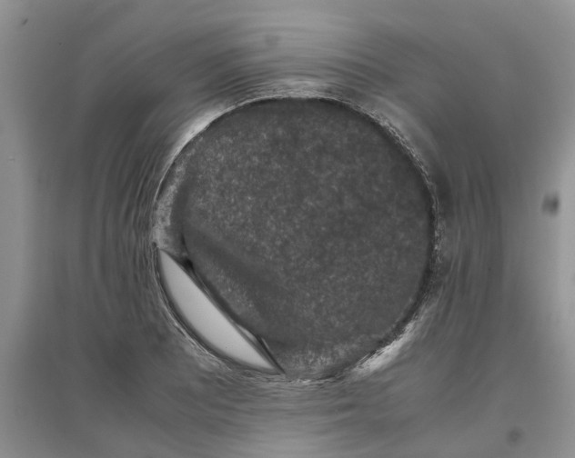 X0000097661081200803142127