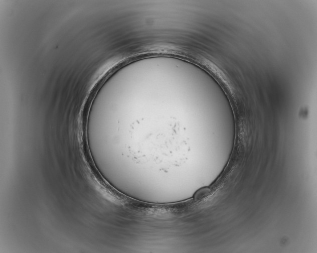 X0000097661082200803142127