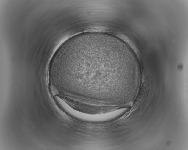 X0000097661083200803142127